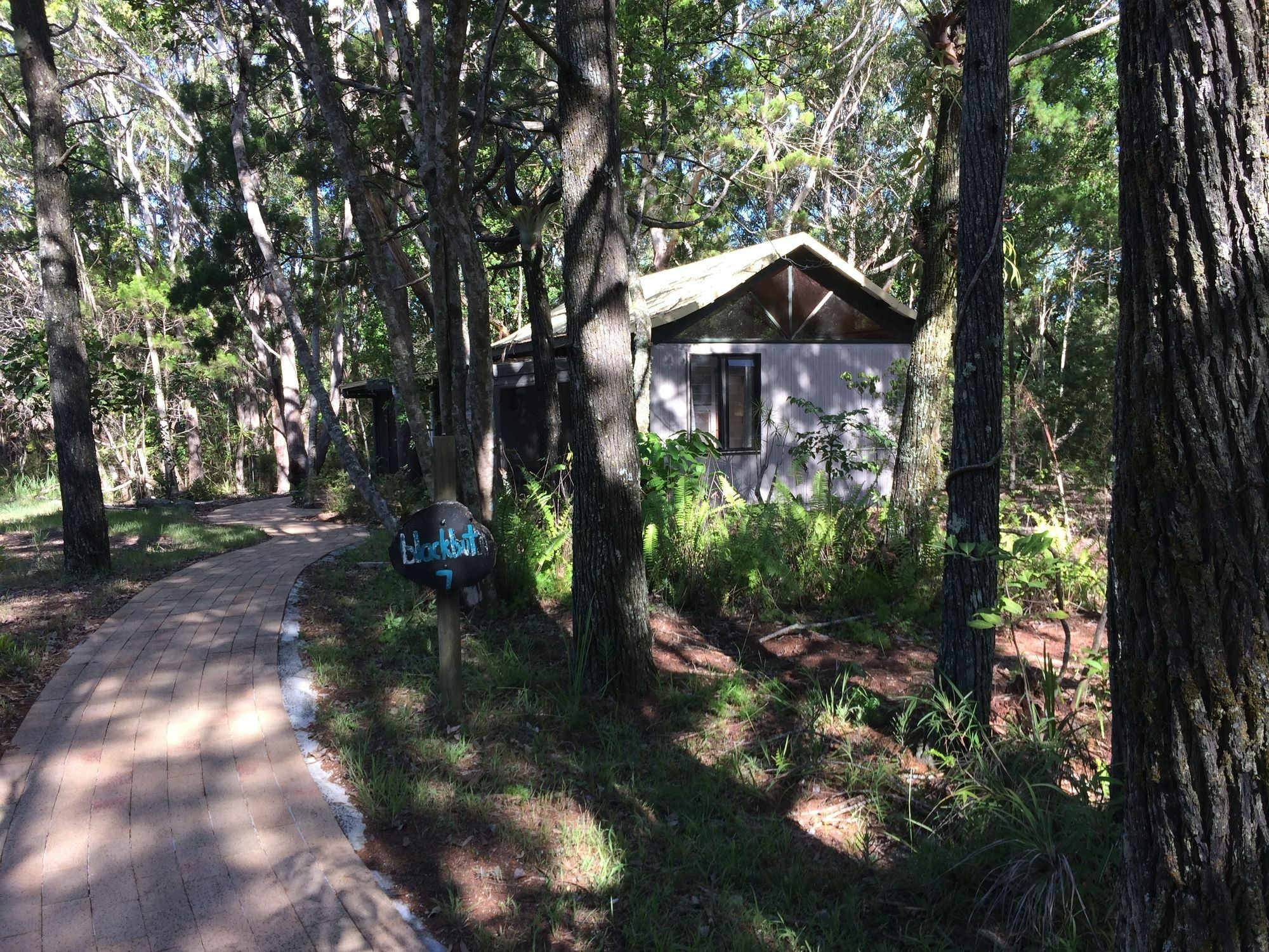 Byron Bay Rainforest Resort Eksteriør bilde